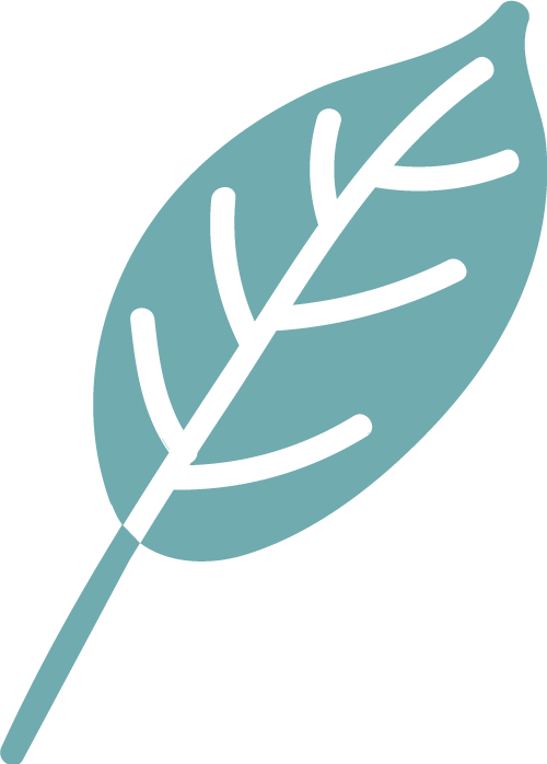 leaf logo teal